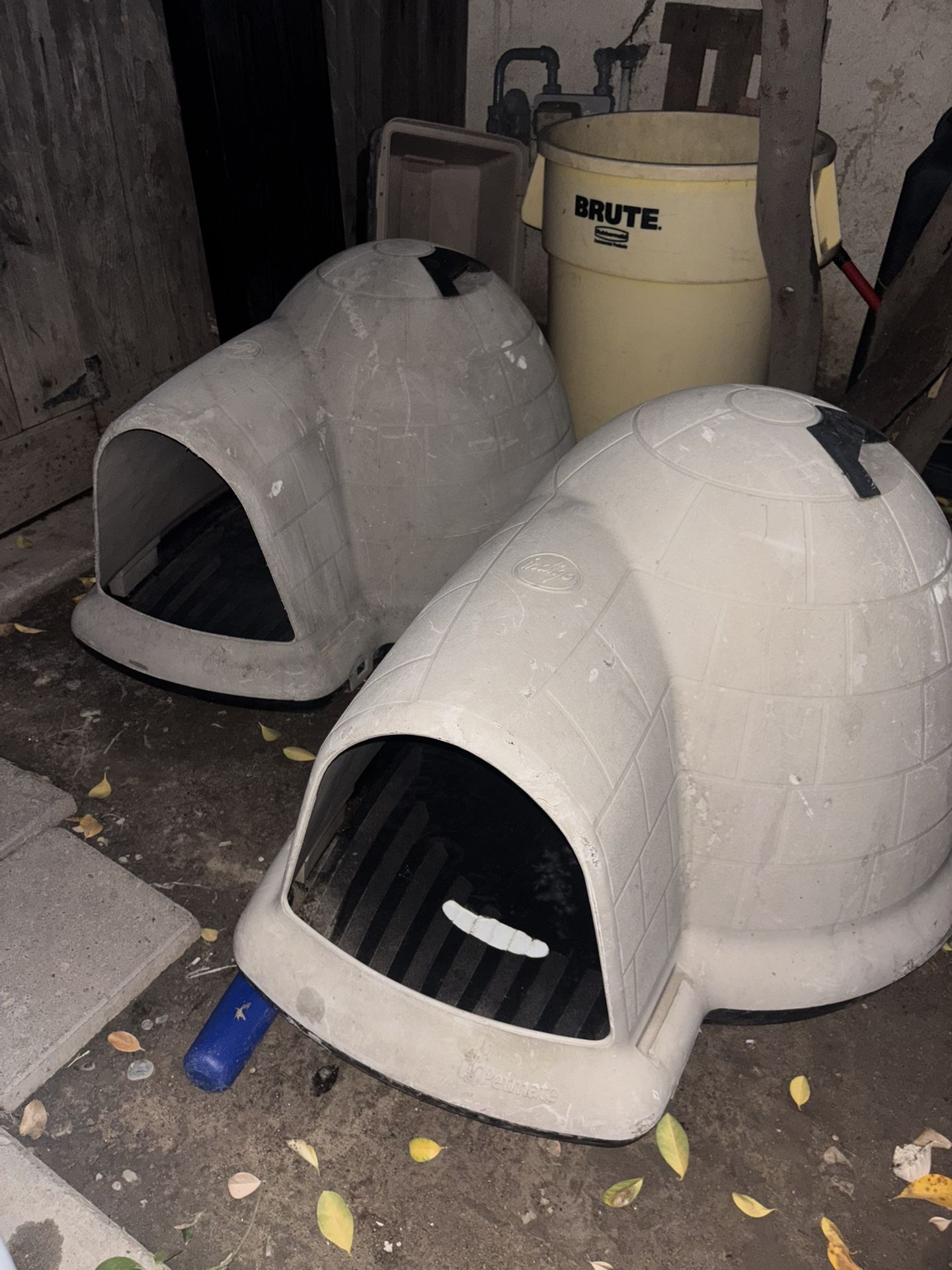 Medium Dog Houses 