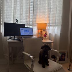 Move Out Sale:  Desk + chair= $125