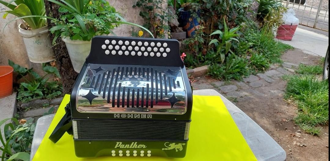 Acordeon-HOHNER-PANTHER-GCF