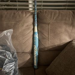 Softball Bat