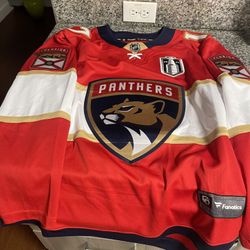 Florida Panthers Jerseys Large