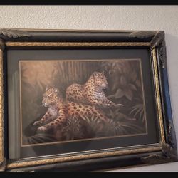 Safari 