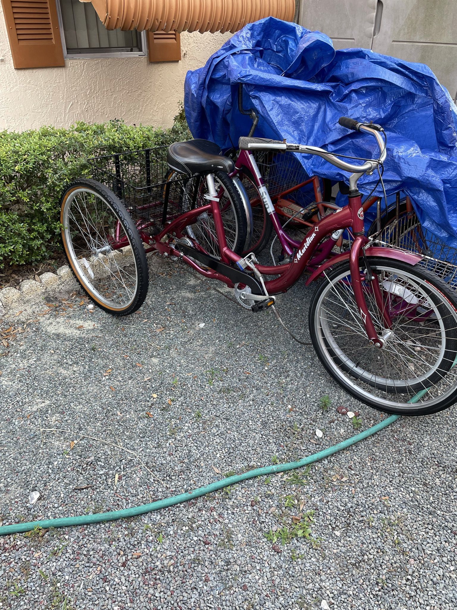 Three Wheel Adult Trike 