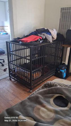 Dog cage