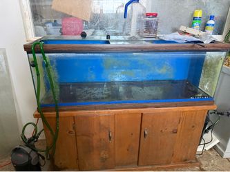 Large aquarium with stand