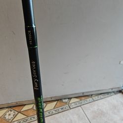 Dobyns fury conventional rod