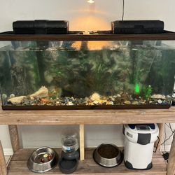 70 Gallon Fish Tank 