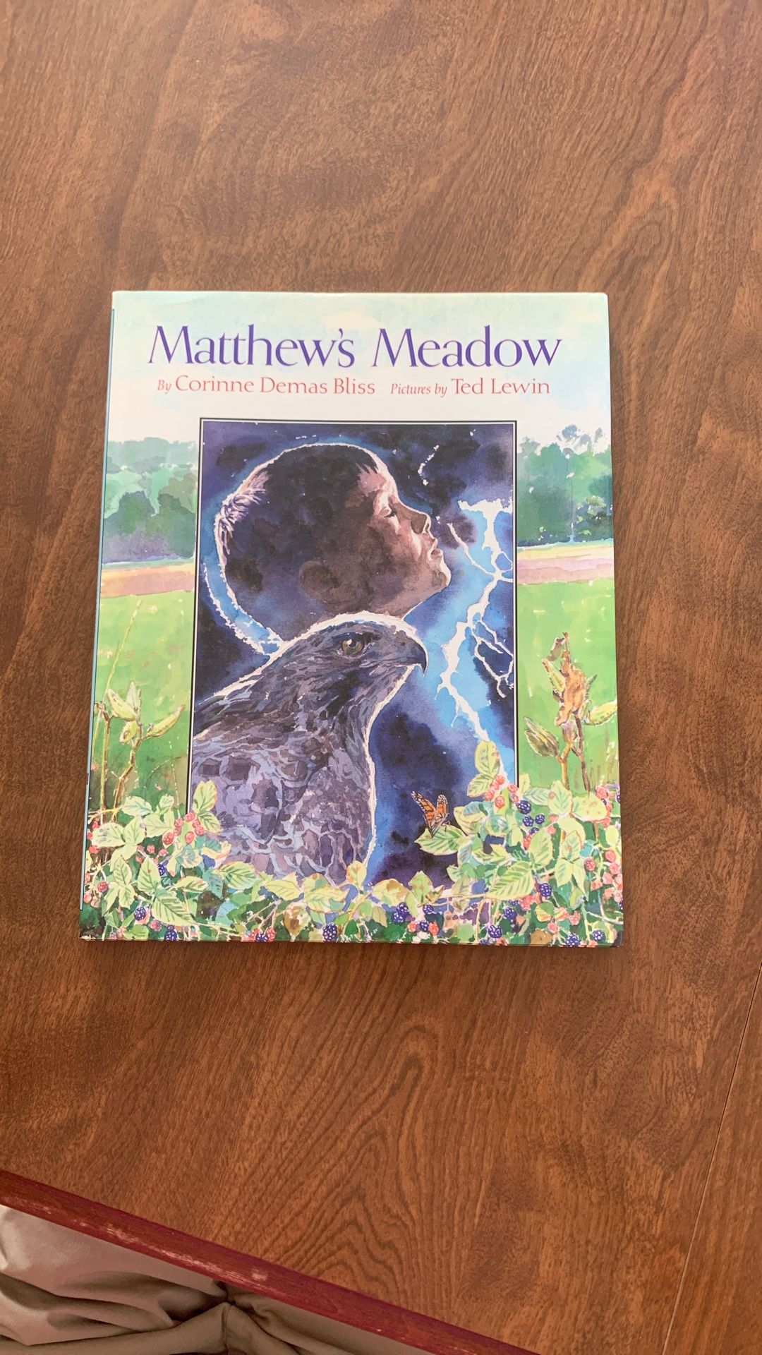Hardback Book - Matthew’s Meadow