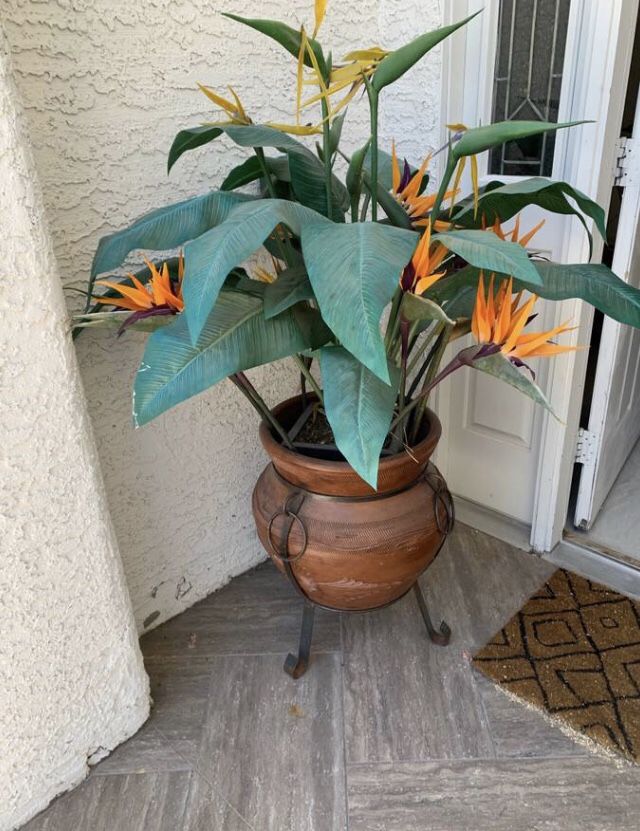 Bird of paradise synthec Ceramic pot Metal frame 5” to 6” tall
