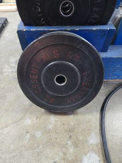 Olympic Plates Pair 55lb
