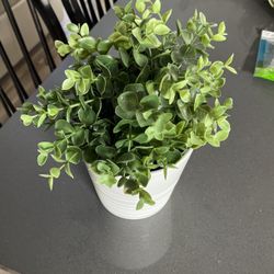 Artificial Plant In Ceramic Pot