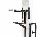 Cybex Assisted Pull-up/Dip Machine