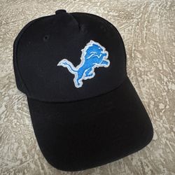 Detroit Lions Youth Hat 3-D Stitched Logo Black NFL Team Apparel