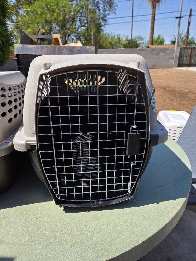 Dog Kennel