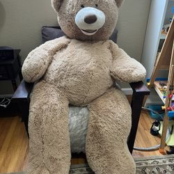 Clean Big Bear