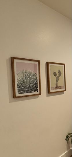 Wall art. Cactus