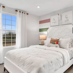 Queen Bed + Mattress + Box 