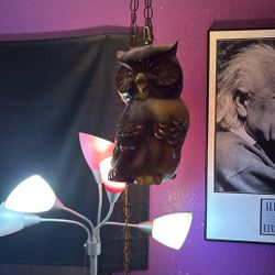 Vintage Hanging Owl Light