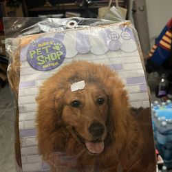 Dog Lion Costume For Face 