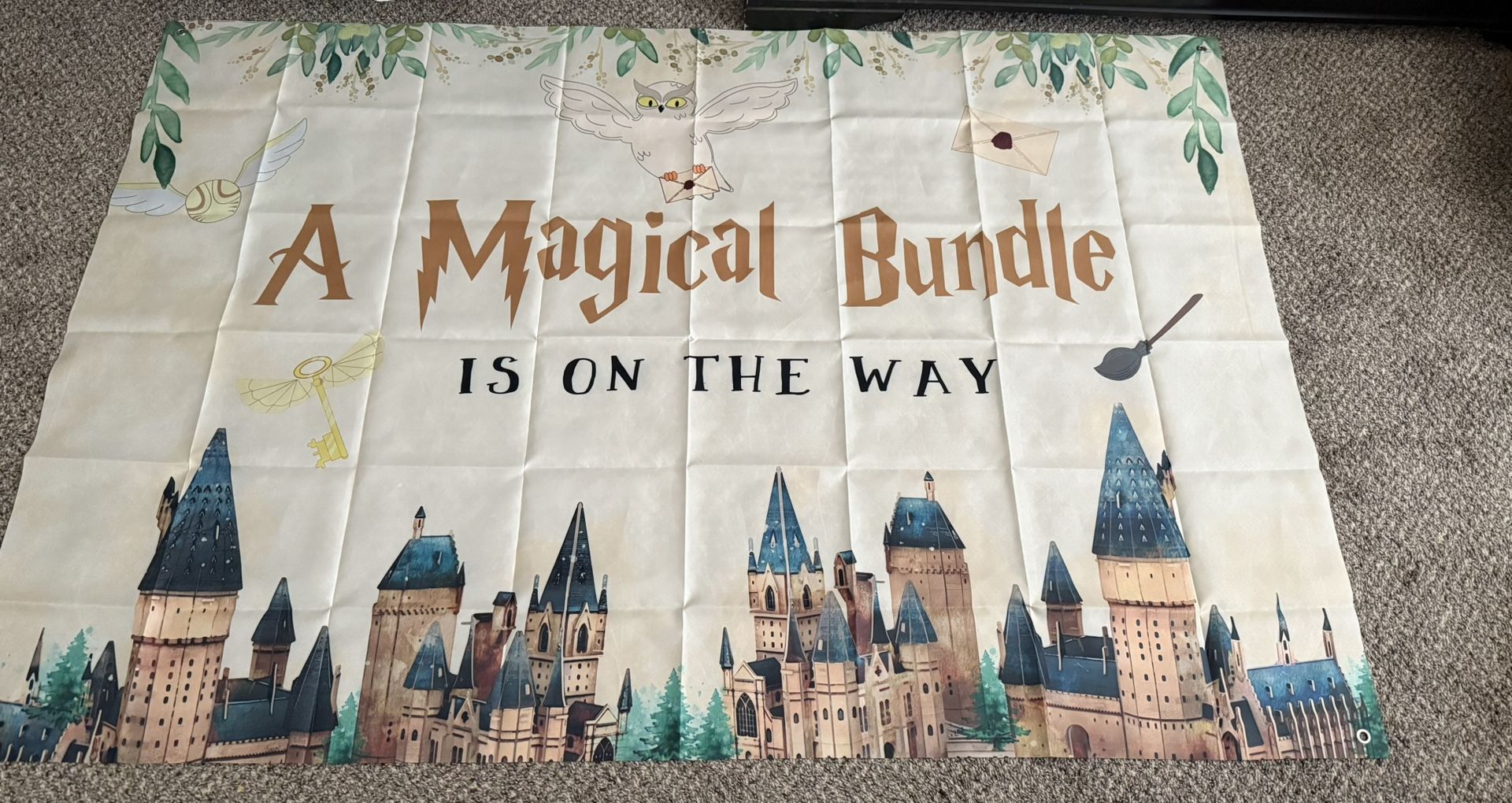 Backdrop For Photos / Party