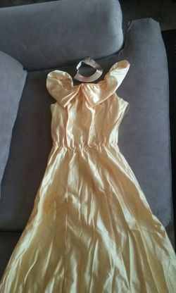 Beauty and the beast costume