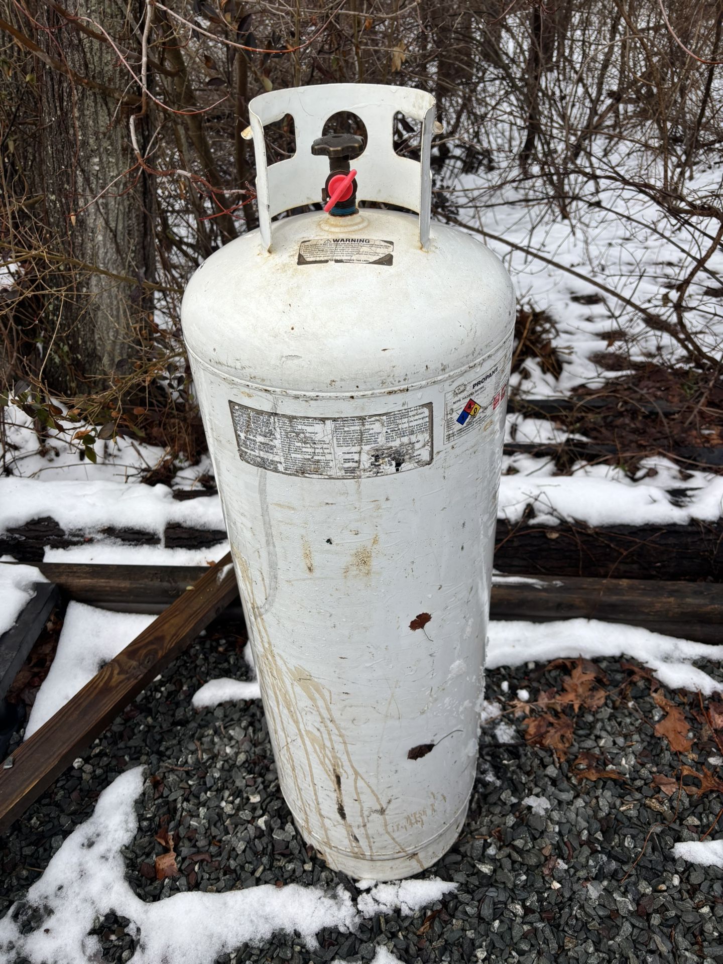 100lb Propane Tank
