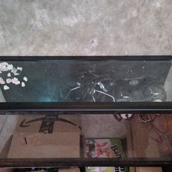 Reptile Tank
