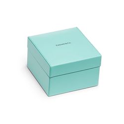 Tiffany & Co. Gift Box 