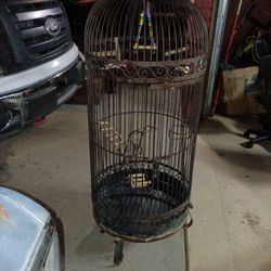 Bird Cage