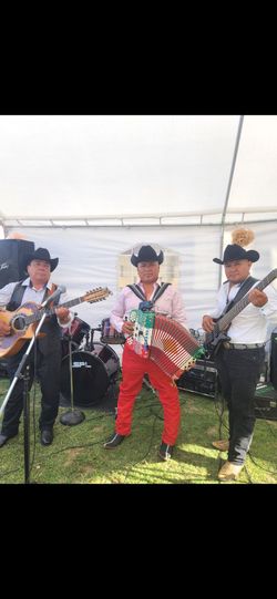 Grupo Musica 🪗 Disponible