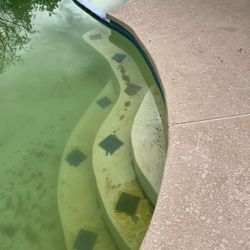 Swimming Pool Vacuum ! !