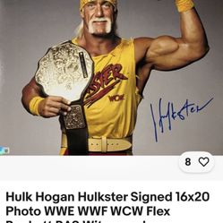 Hulk Hogan Poster 