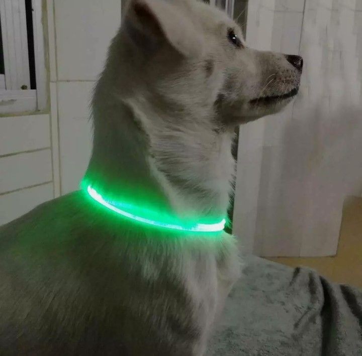 Fiber Optic LED Dog Collar Flashing Light Waterproof