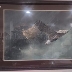 Framed Art Picture Of Eagle