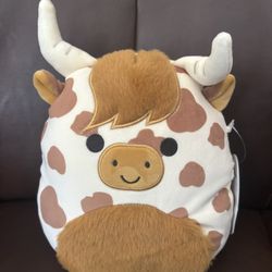 Alonzo By Squishmallows