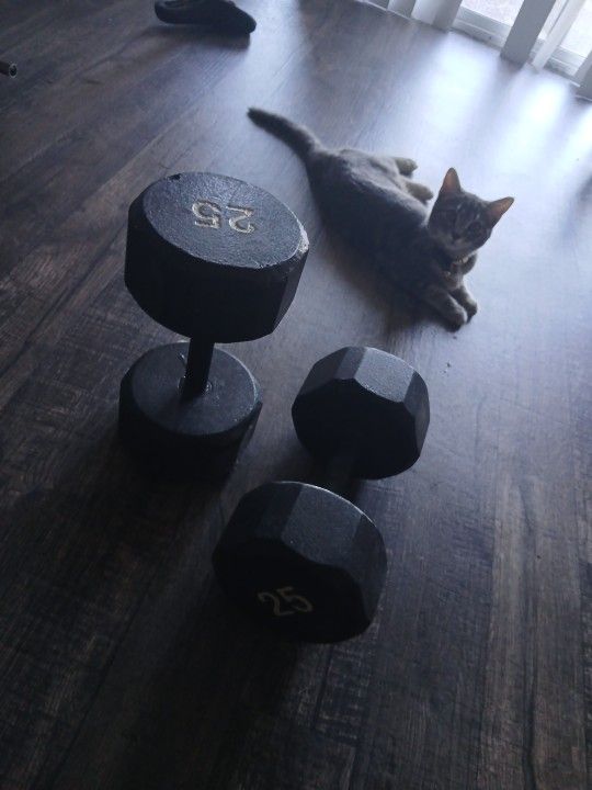 25 Lbs Solid Hexagon Dumbell Weights