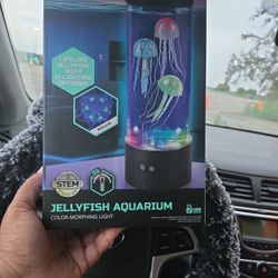 Discovery #Mindblown Jellyfish Aquarium - Color Morphing Light