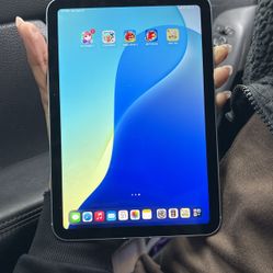 iPad Mini 256 Gb 