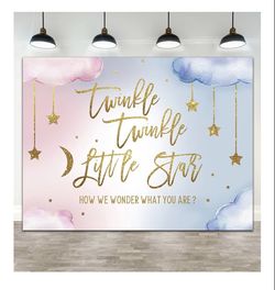 Gender reveal sign