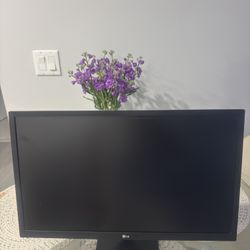 LG Monitor 24ml44b-b 