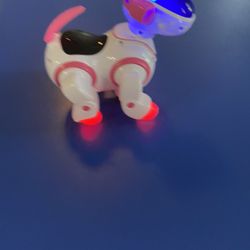 Light Up Robo Dog