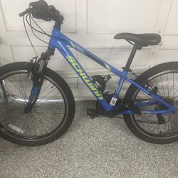 Schwinn Kids Mountain Bike