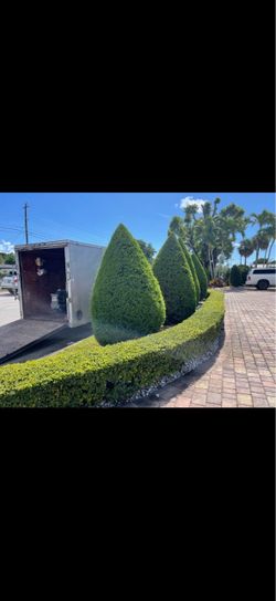 lanscaping