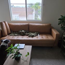 Sven 88" Sofa By Article