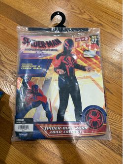 Spiderman costume