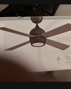 Ceiling Fan