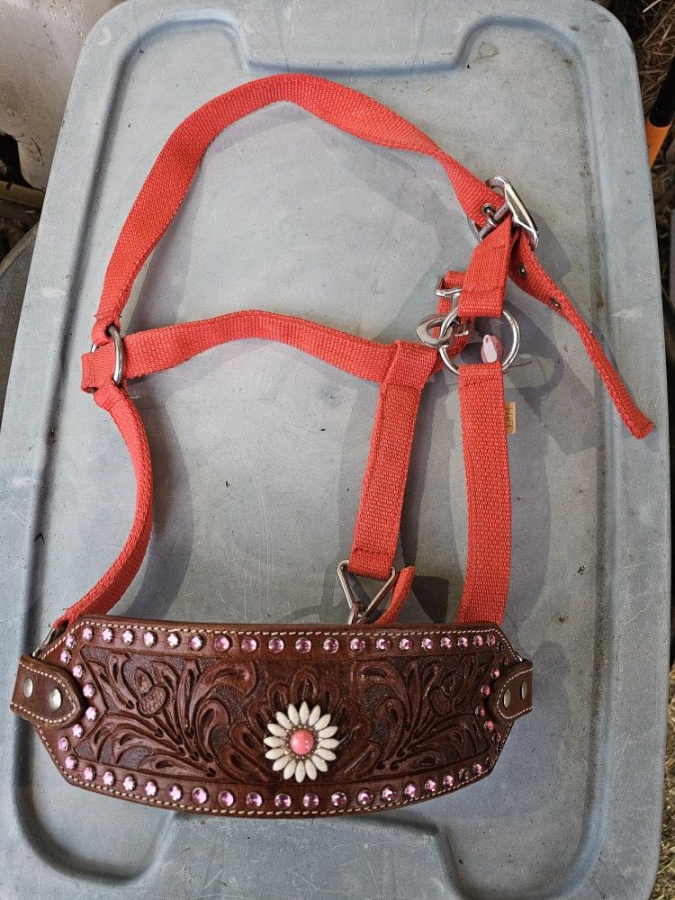 Bronc Halter