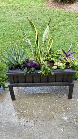 Plant Planters