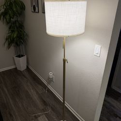 Gold Floor Lamp