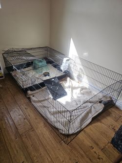 Cage For Pet Guinea Pigs Rabbit Etc